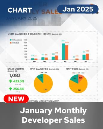 MDS Infographics January 2025